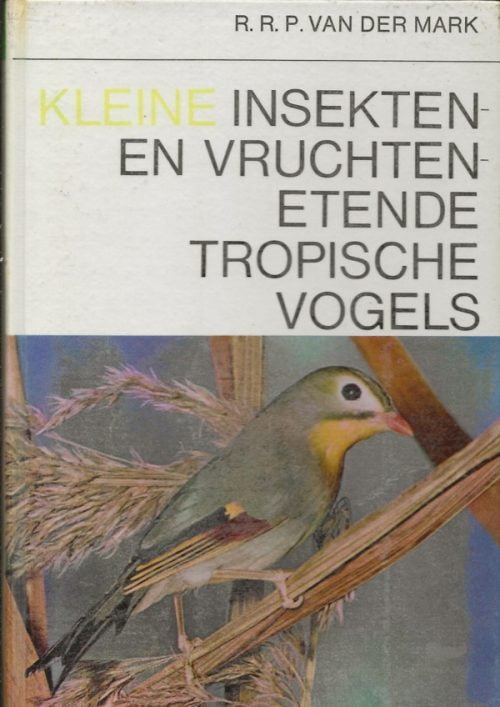 Kleine insekten- en vruchtenetende tropische vogels