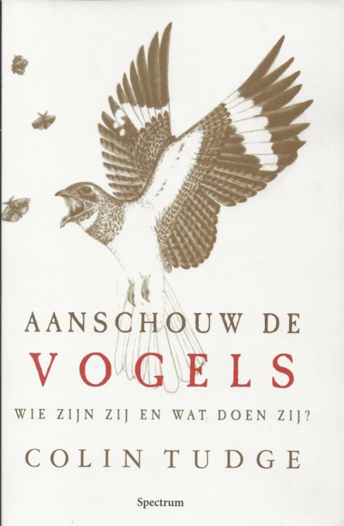 Aanschouw de vogels - Wie zijn zij en wat doen zij?